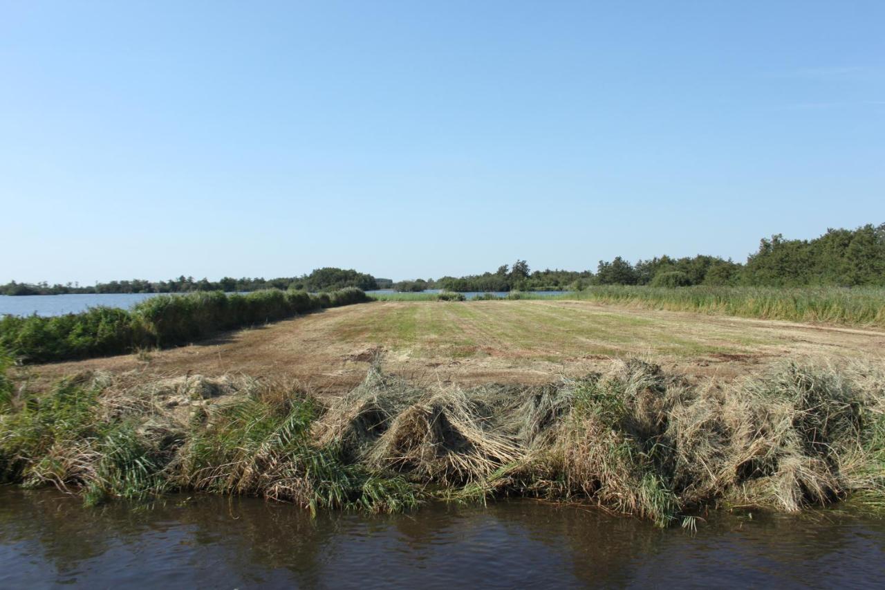 Gastenverblijf Villa Buitenplaats Wergea Contactloos Inchecken Naarderburen Exterior photo